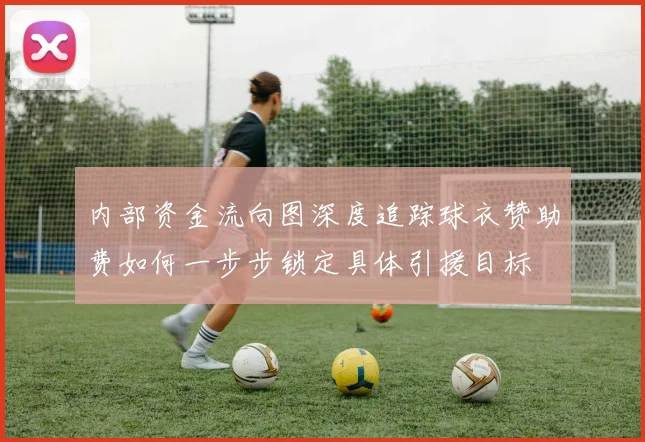 内部资金流向图深度追踪球衣赞助费如何一步步锁定具体引援目标
